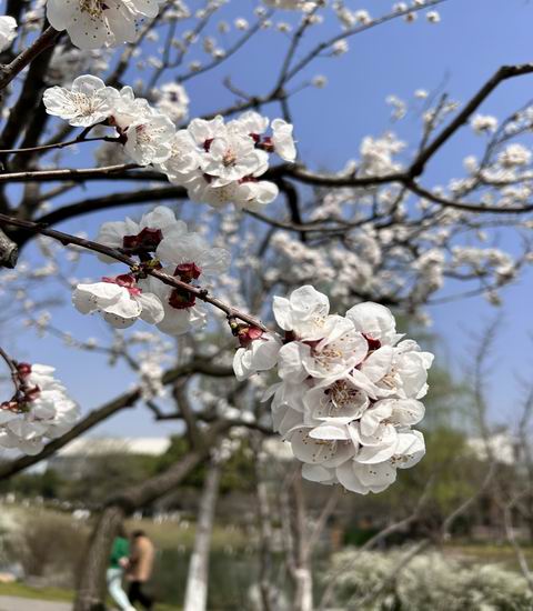 调整大小 旋转 微信图片_20230315151831.jpg