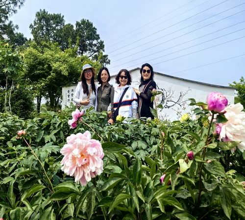调整大小 微信图片_20250418150145.jpg